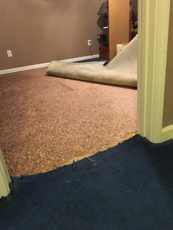 Carpet pad removal revealing water damage during Water Mitigation Services in Belle Fourche