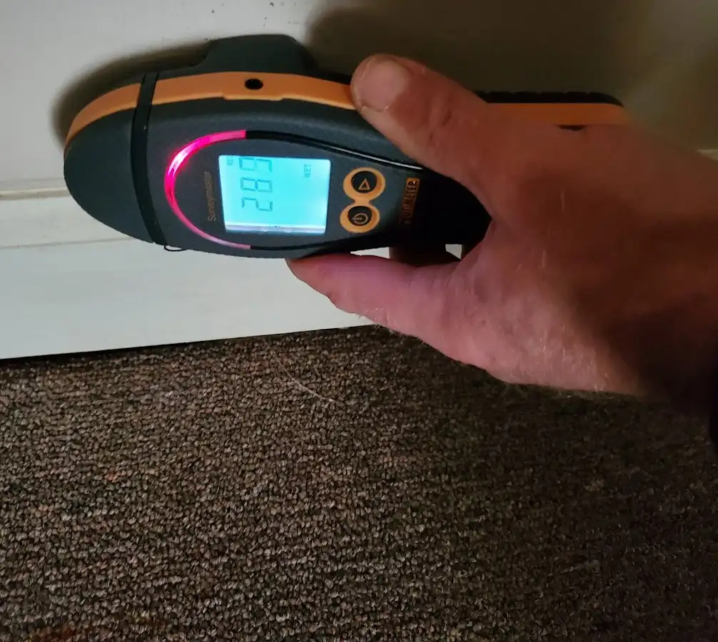 Moisture detection at baseboard during Mold Inspection & Testing in Belle Fourche